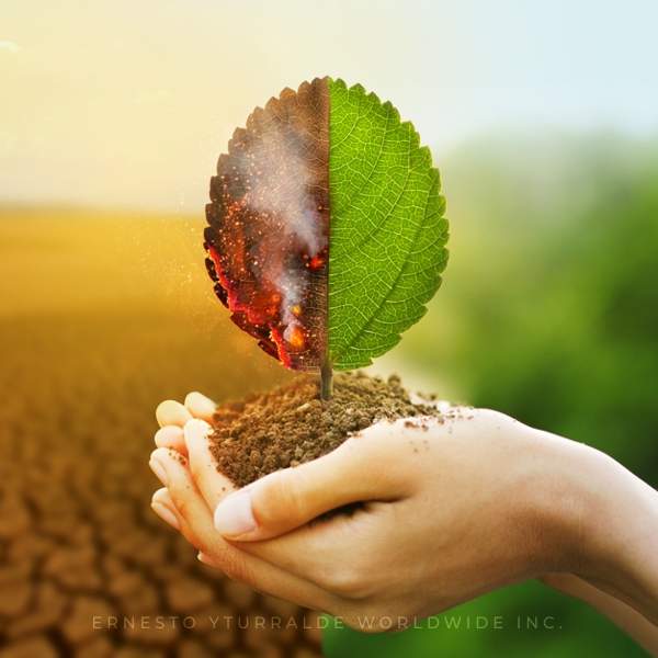 Talleres de Sensibilización online en la Gestión del Cambio para el talento humano de organizaciones | Change Management